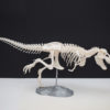 3D-T-Rex
